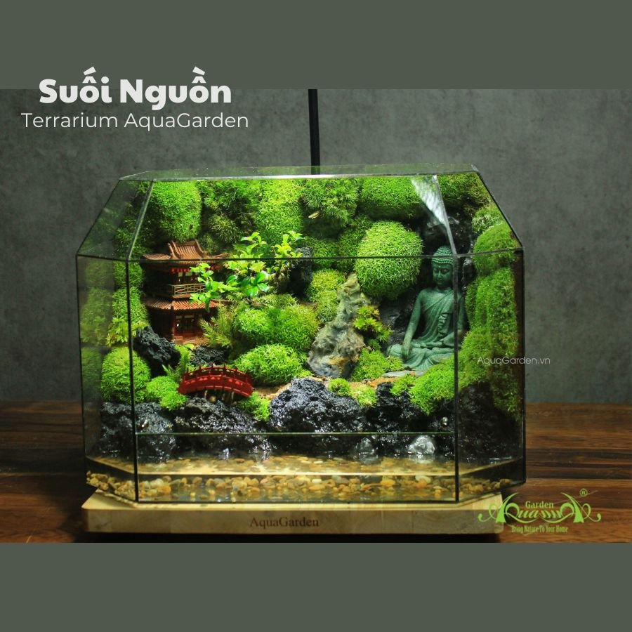 Terrarium 273 - Suối Nguồn