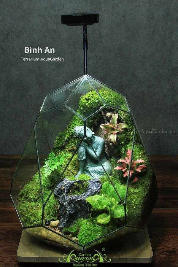 Terrarium 265 - Bình An