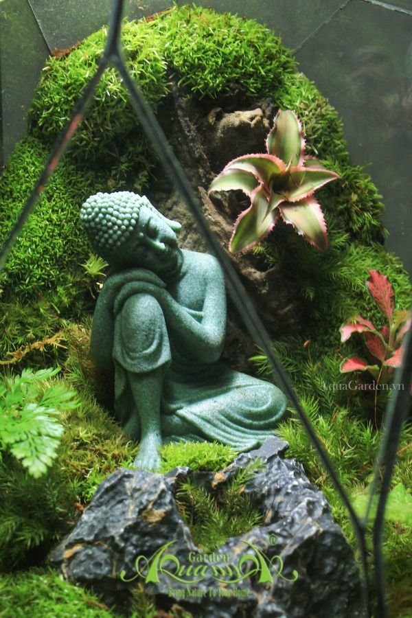 Terrarium 265 - Bình An 2