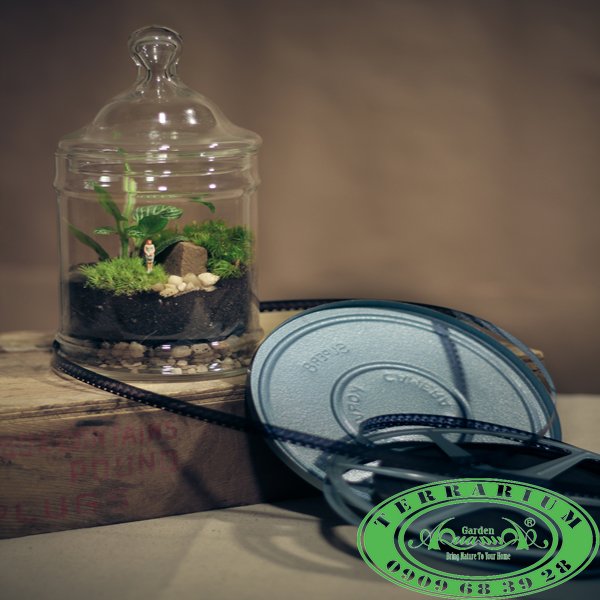 Terrarium 301 - Góc xanh 2
