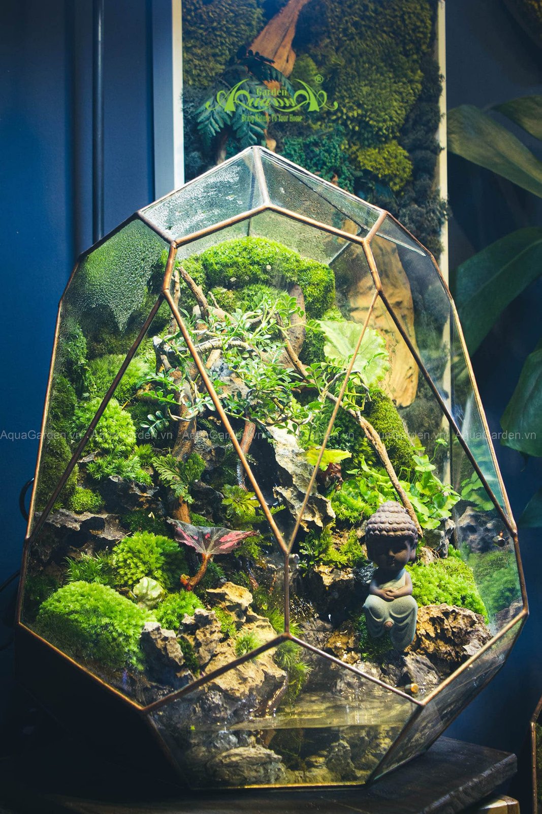 Terrarium 262 - Phúc 3