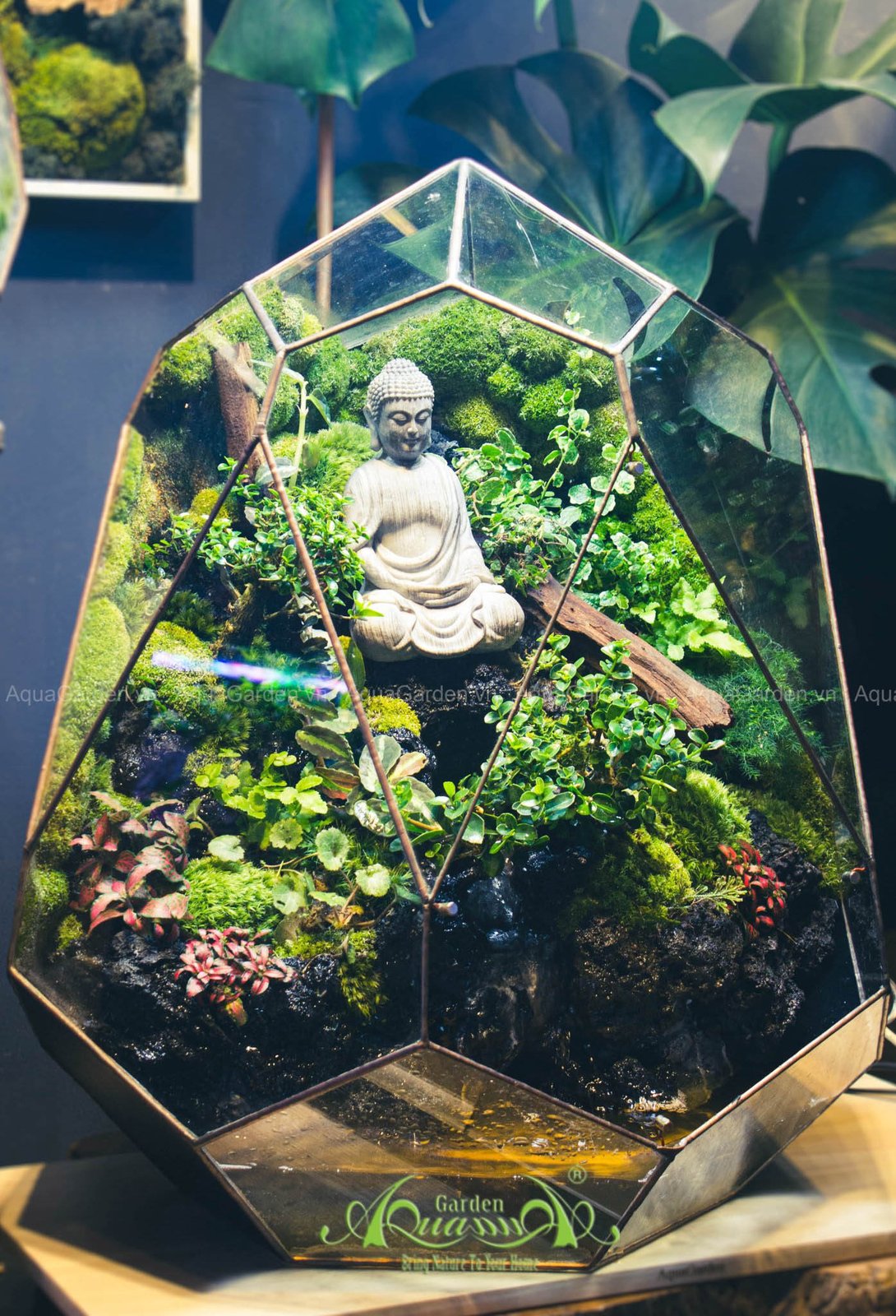 Terrarium 257 - Nhân 2