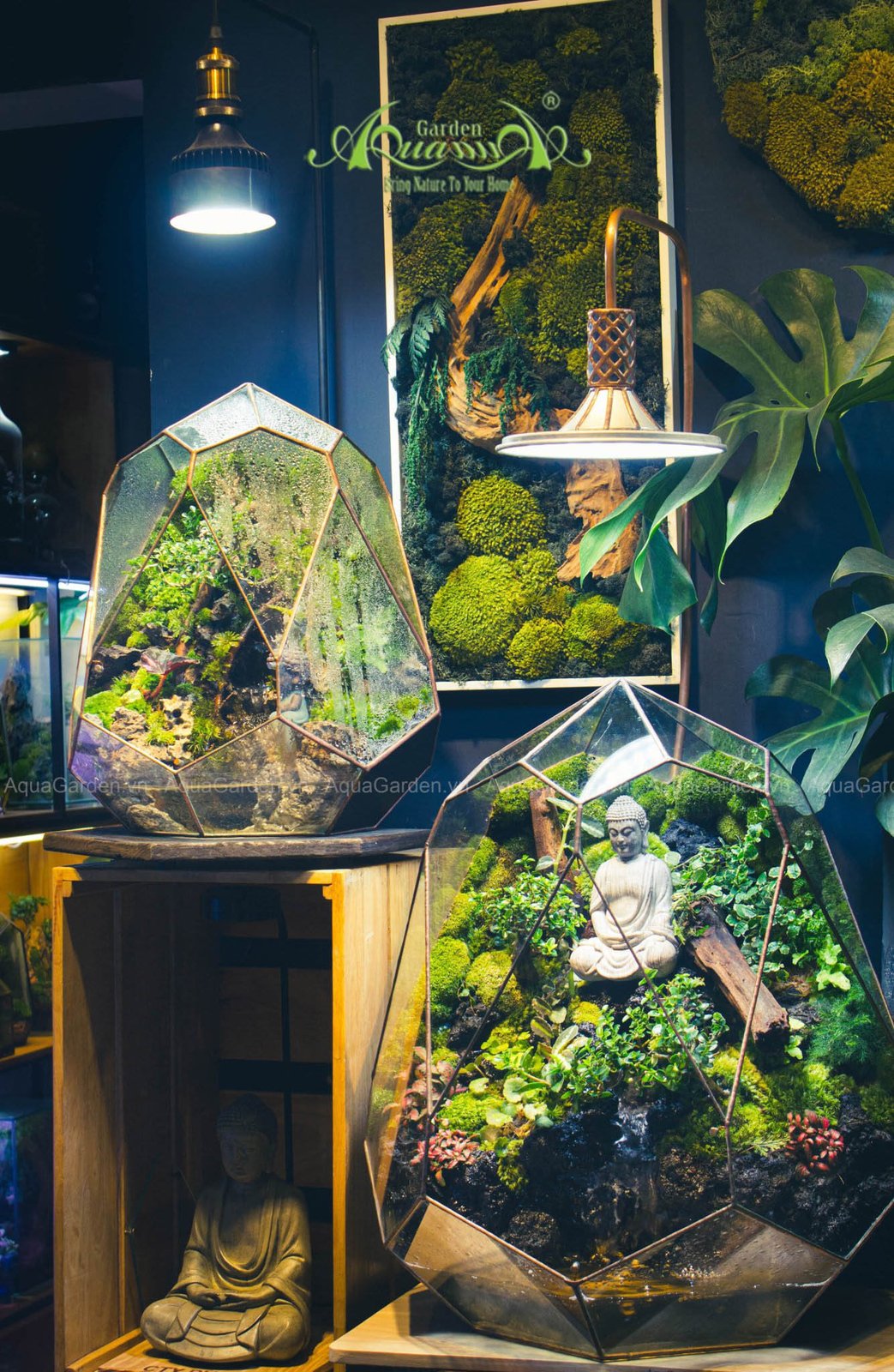 Terrarium 257 - Nhân 3