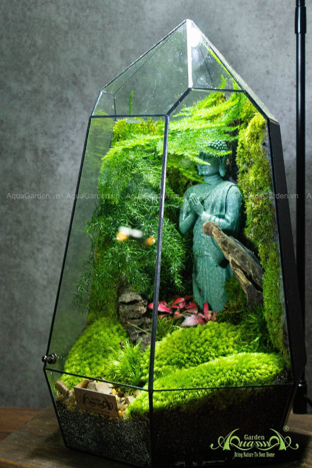 Terrarium 259 - Peaceful Sky 2