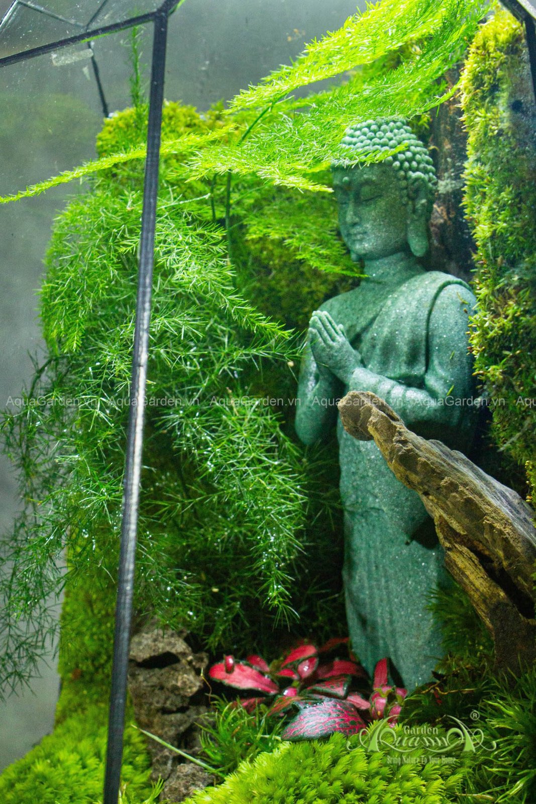 Terrarium 259 - Peaceful Sky 3