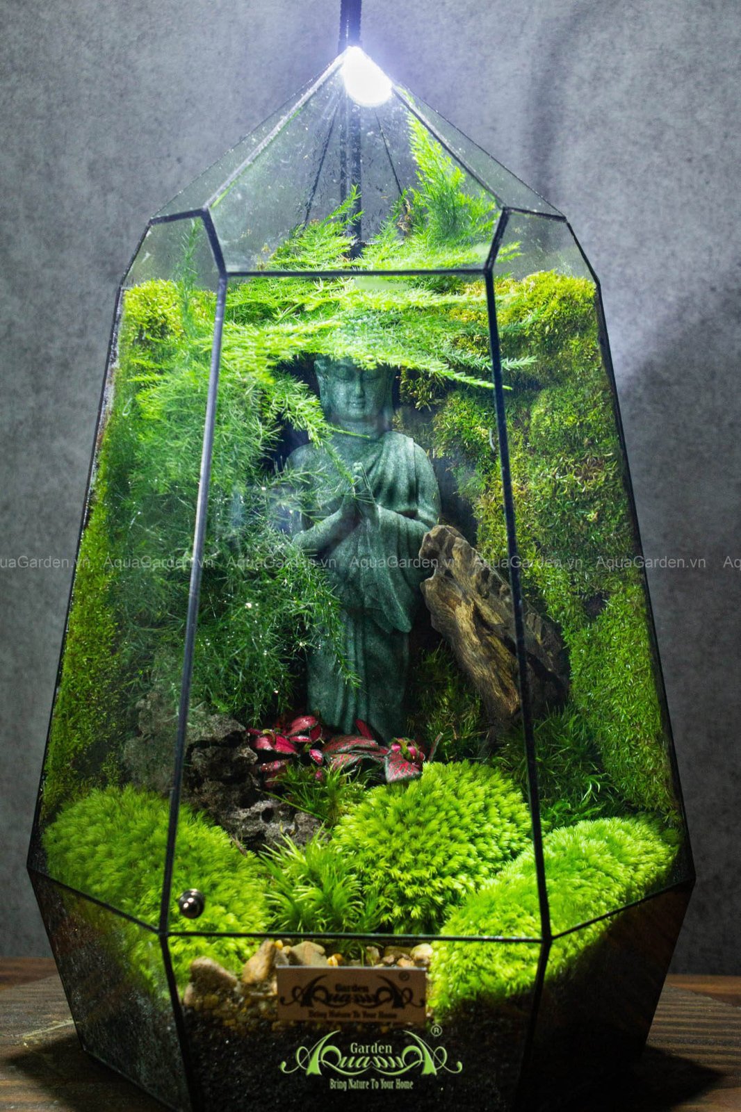 Terrarium 259 - Peaceful Sky