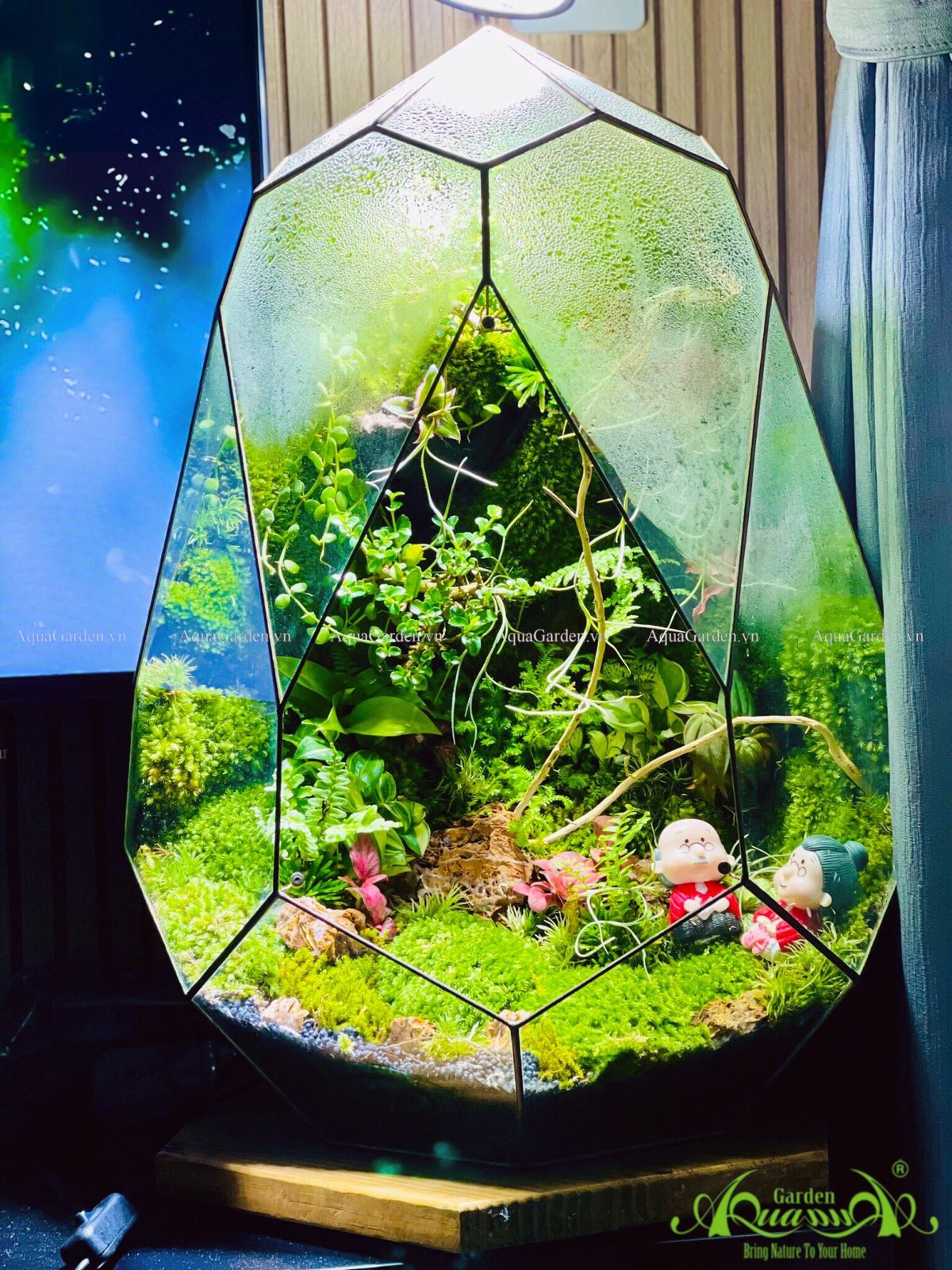 Terrarium 242 - Ông Bà Anh