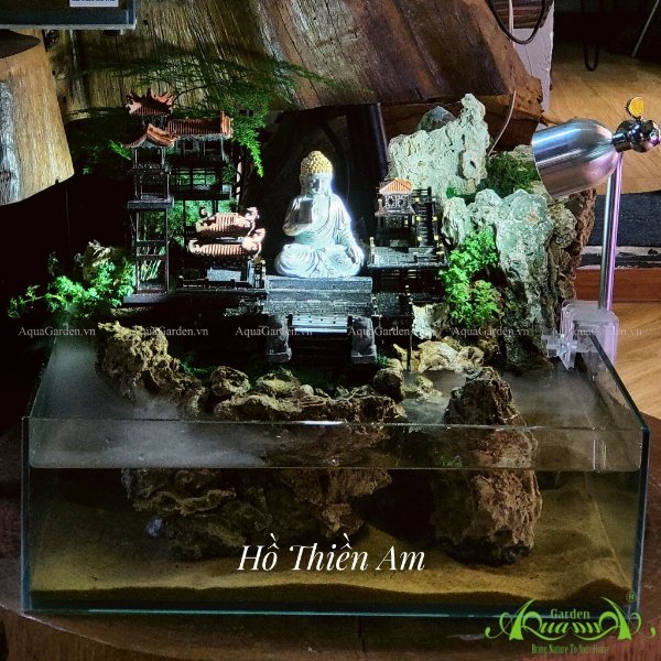 Terrarium 69 - Hồ Thiền Am 3