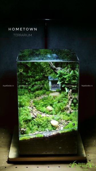 Terrarium 229 - Hometown 3