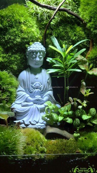 Terrarium 227 - Serene Mind 2