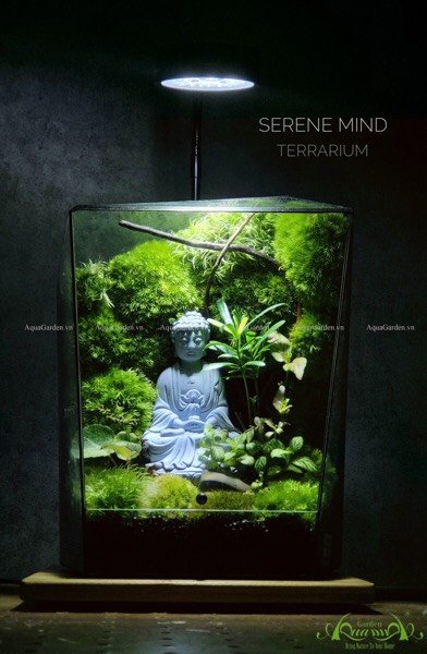 Terrarium 227 - Serene Mind 3