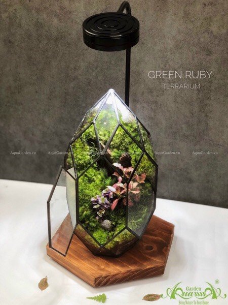 Terrarium 226 - Green Ruby 3