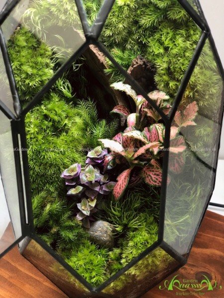 Terrarium 226 - Green Ruby 2