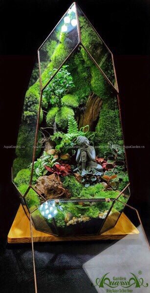 Terrarium 225 - The Hermit 2