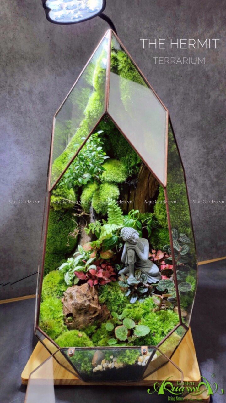 Terrarium 225 - The Hermit