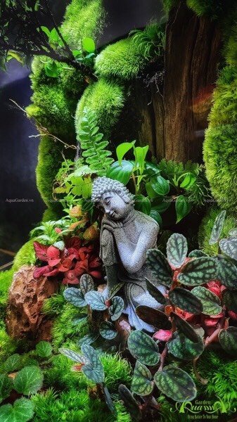 Terrarium 225 - The Hermit 3