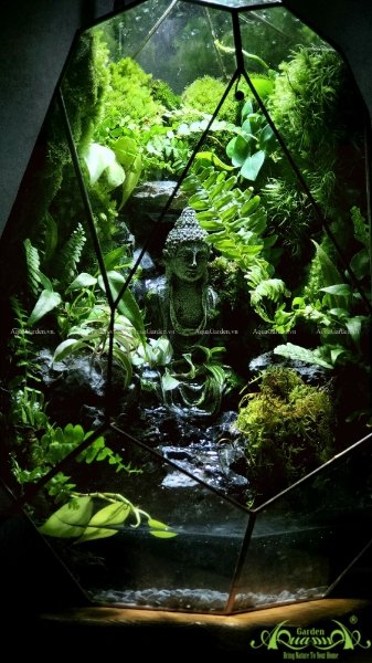 Terrarium 222 - Spiritual Journey 3