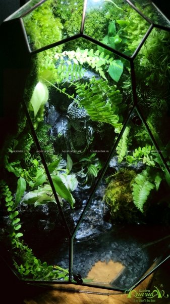 Terrarium 222 - Spiritual Journey 2
