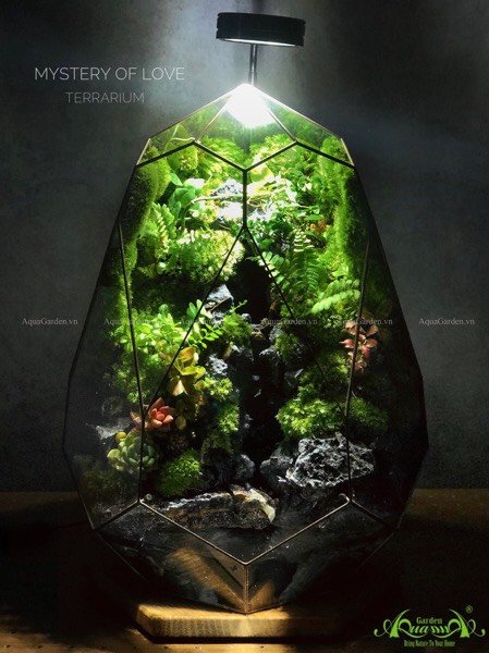 Terrarium 217 - Mystery of Nature 3