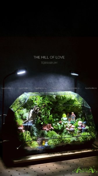 Terrarium 215 - The Hill of Love