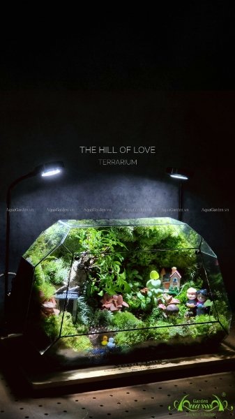 Terrarium 215 - The Hill of Love 3