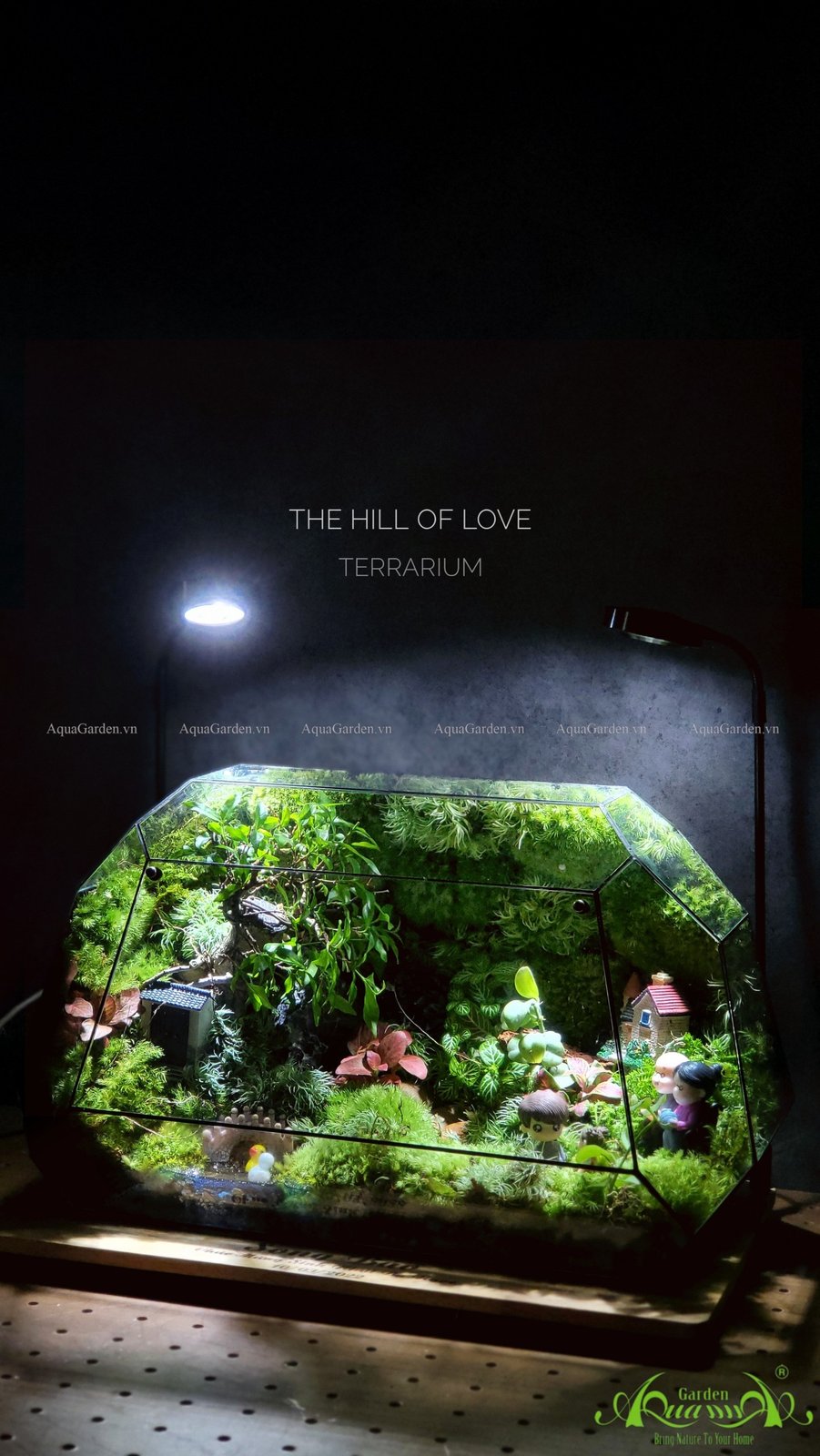 Terrarium 215 - The Hill of Love 2
