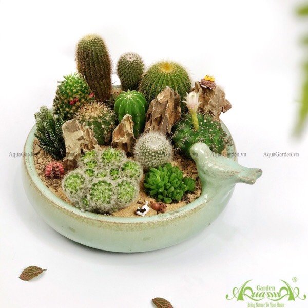 Tiểu Cảnh 02 - Ventomarme 2