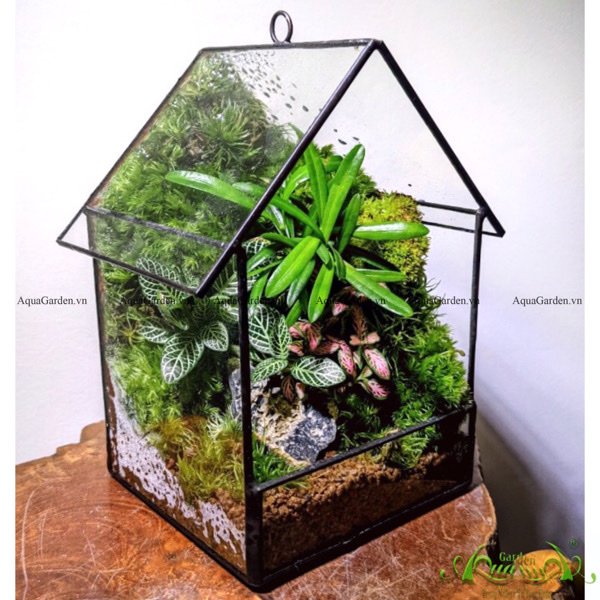 Terrarium 206 - Home land 2