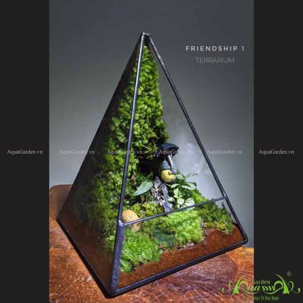 Terrarium 204 - Friendship 2