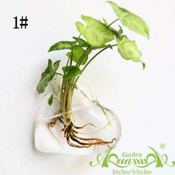 Set Áp Tường 09 - Môn Trắng