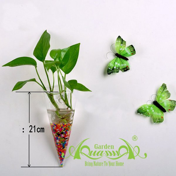 Set Áp Tường 07 - Trầu Bà 2