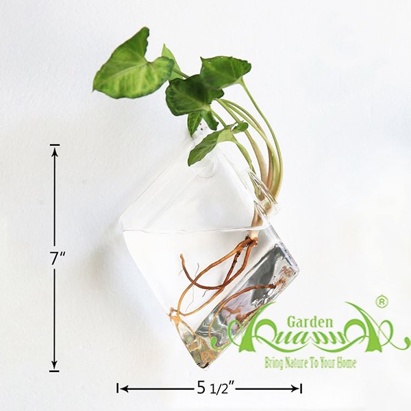 Set Áp Tường 05 - Môn Trắng 3