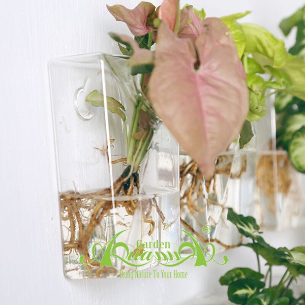 Set Áp Tường 04 - Môn Hồng 2