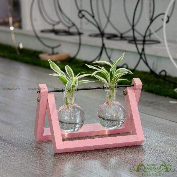 Phát Tài Viền Trắng - Bộ xích đu thủy canh - thủy canh Aquagarden 2