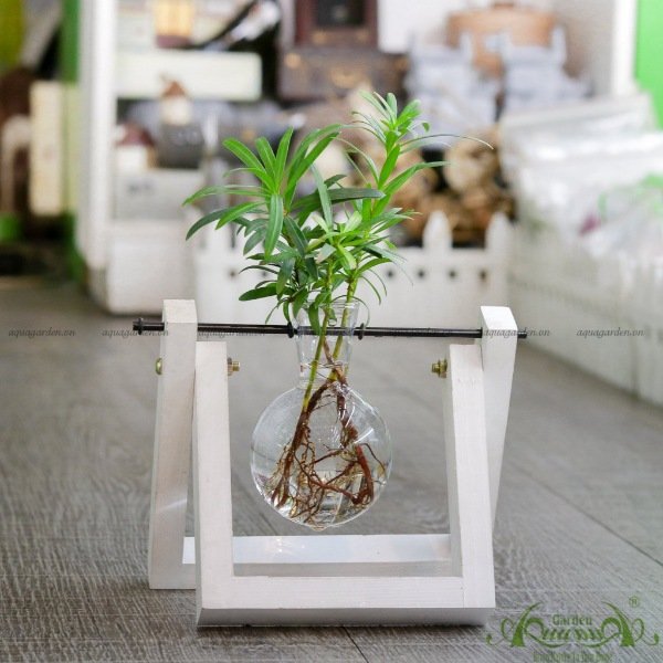 Như Ý - Bộ xích đu thủy canh - thủy canh Aquagarden 3