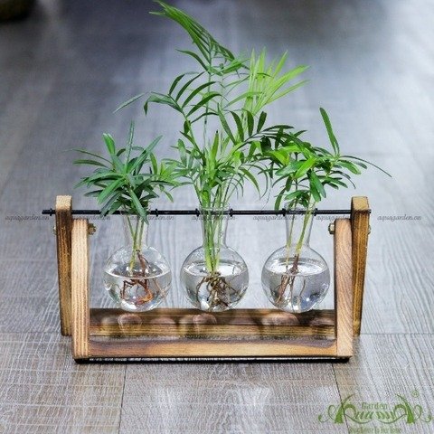 Như Ý - Bộ xích đu thủy canh - thủy canh Aquagarden 2