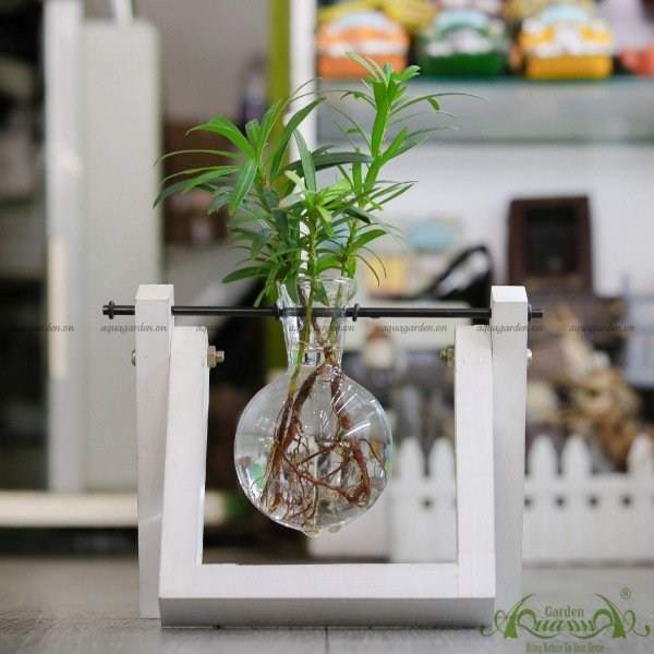 Như Ý - Bộ xích đu thủy canh - thủy canh Aquagarden