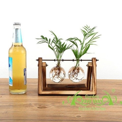 Cau Tiểu Trâm - Bộ kệ xích đu - Thủy canh Aquagarden 2