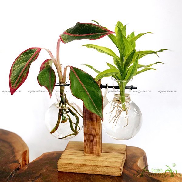Phú Quý & Phát Tài - Trục Gỗ Bộ 2 2