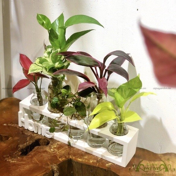 Set Mini 12 - HOME Bộ 5 3