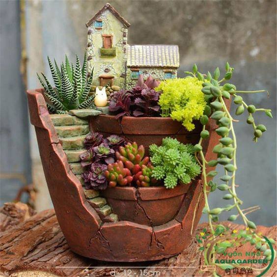 Tiểu Cảnh 01 - Vườn Nhà AquaGarden