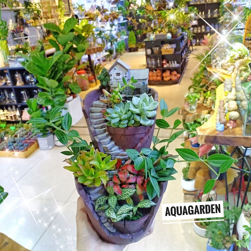 Tiểu Cảnh 01 - Vườn Nhà AquaGarden 2