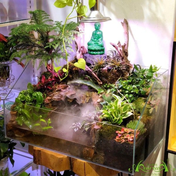 Terrarium 152 - Vườn Trúc Lâm Thiền Tự