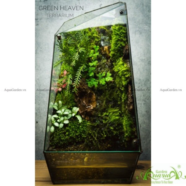 Terrarium 134 - Green Heaven 3