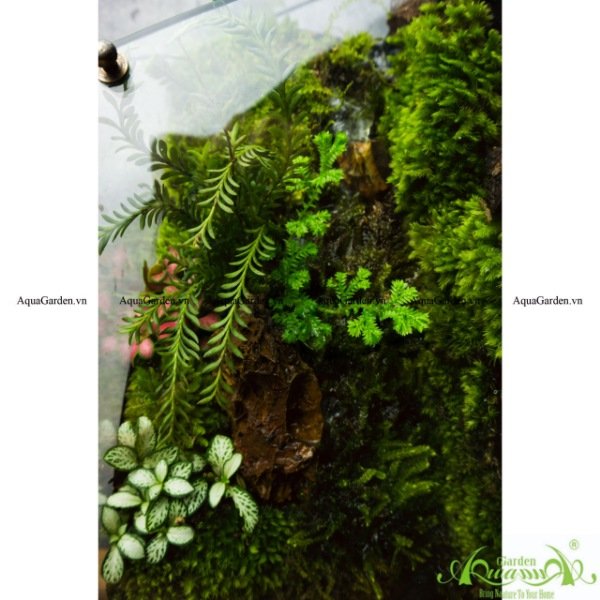 Terrarium 134 - Green Heaven 2