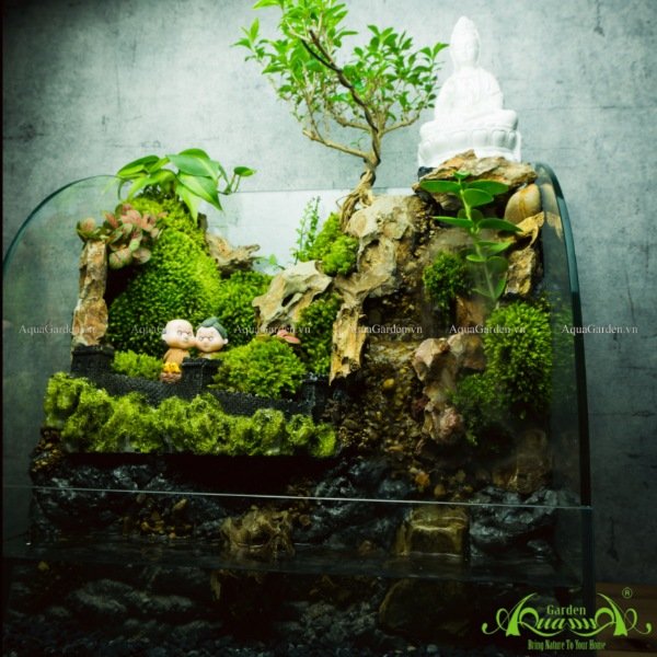 Terrarium 137 - Hồ Uyên Ương 2
