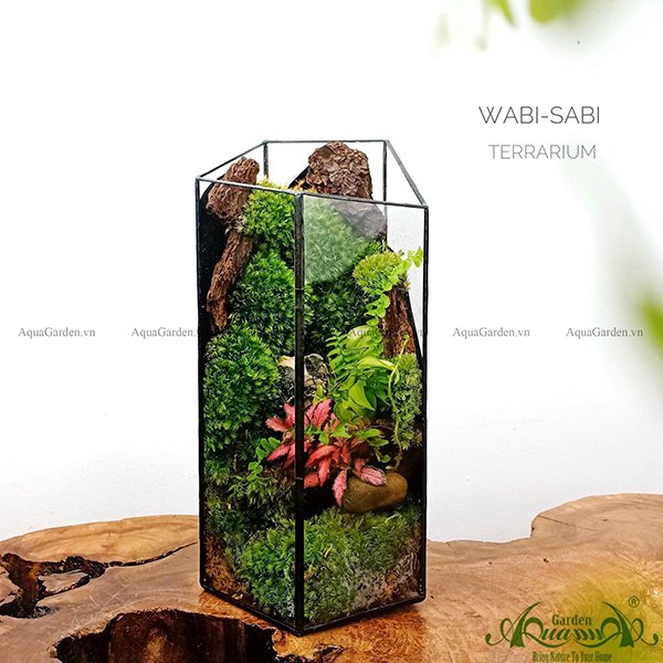 Terrarium 102 - Wabi-sabi 2