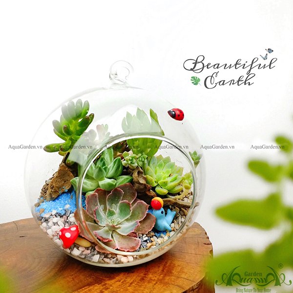 Terrarium 40 - Beautiful Earth