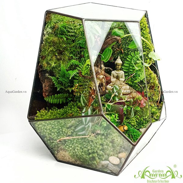 Terrarium 91 - Natural Spirit - Mindful Calling 2