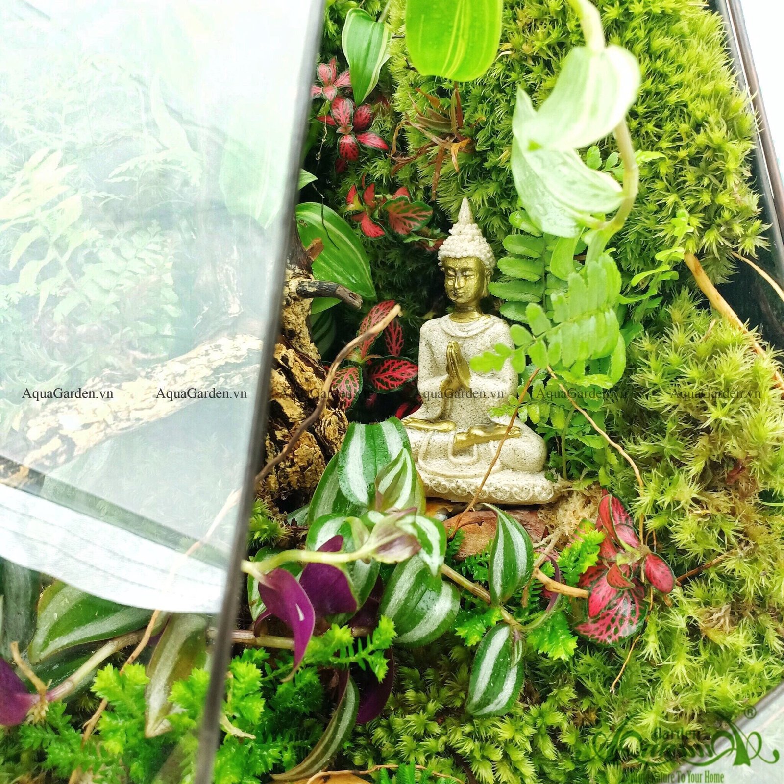 Terrarium 91 - Natural Spirit - Mindful Calling 3